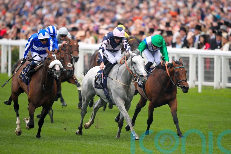 Lord Glitters bows out after sparkling career