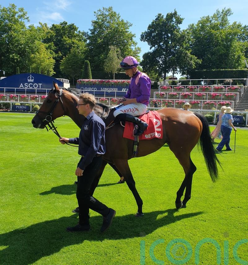 Mountain peaks again to leave Walker dreaming of bigger things