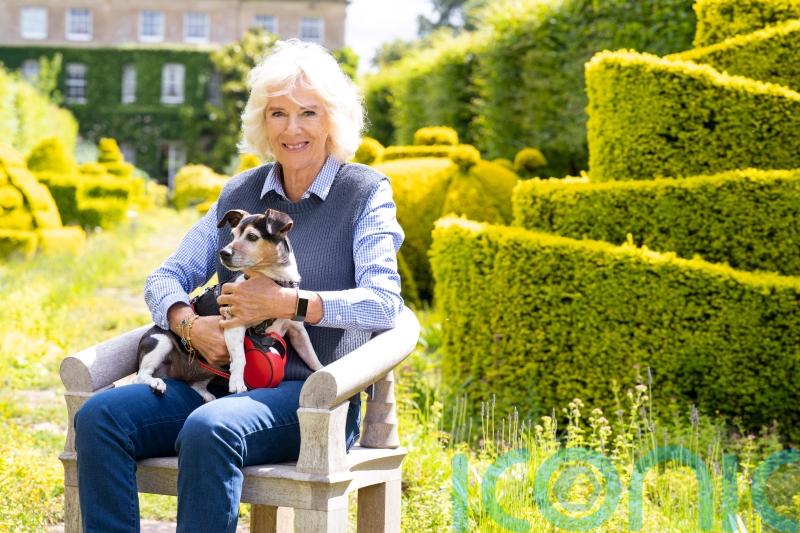 Camilla tells documentary there is ‘always something exciting round the corner’
