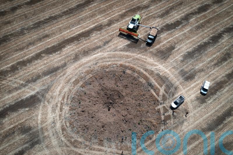 Ukraine’s anxious grain farmers face uncertainty as harvest begins