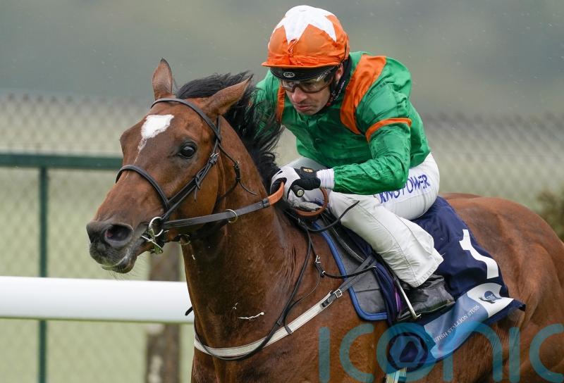 Meades will search for softer ground with Lone Eagle