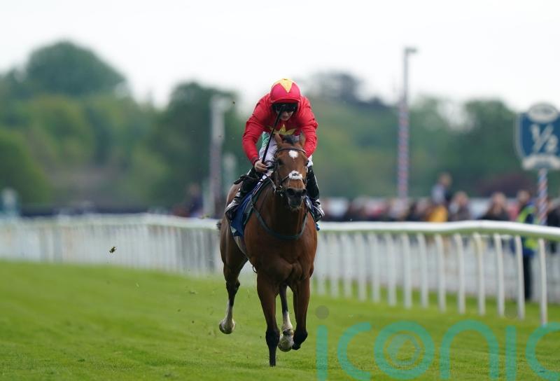 Quinn eyeing international campaign for Highfield Princess