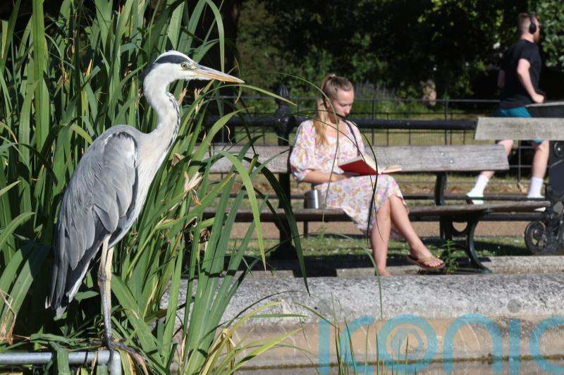 In Pictures: UK basks in heatwave ahead of more dangerous temperatures
