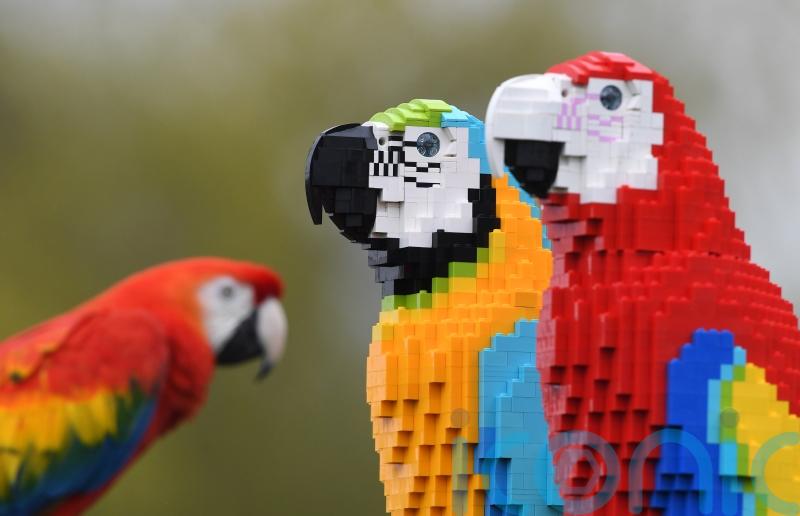 Lego pulls out of Russia, shutting 81 stores