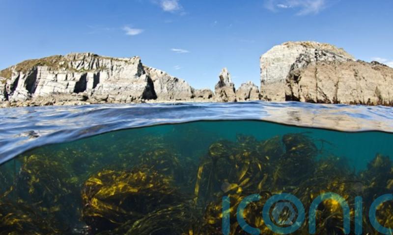 Scientists embark on world-first study to reveal carbon stored in UK seas