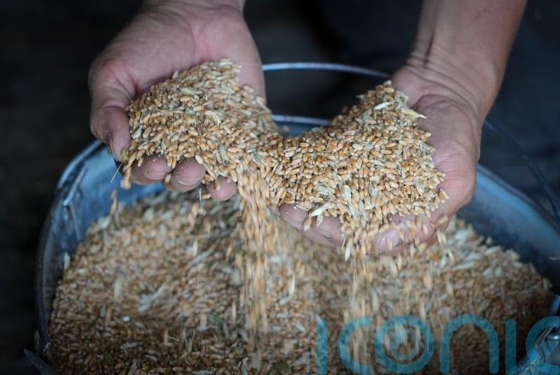 Russian and Ukrainian militaries set to discuss grain exports