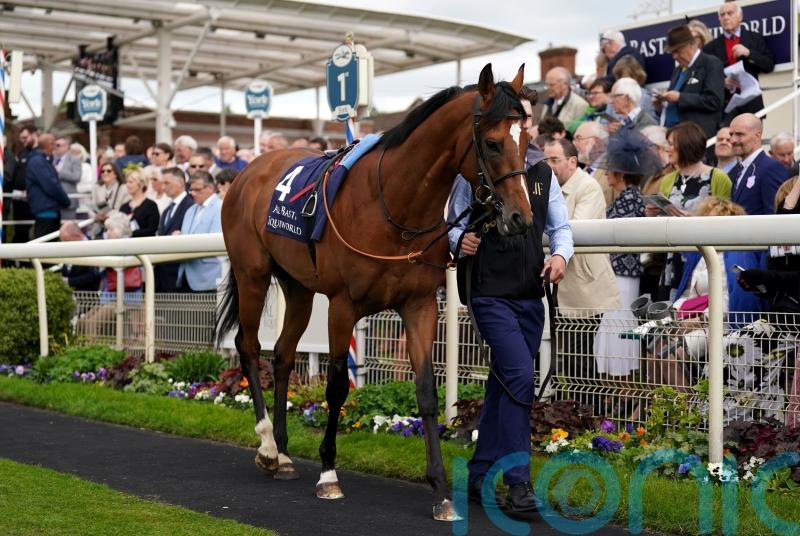 Ferguson anticipating bold show from El Bodegon in ParisLongchamp highlight