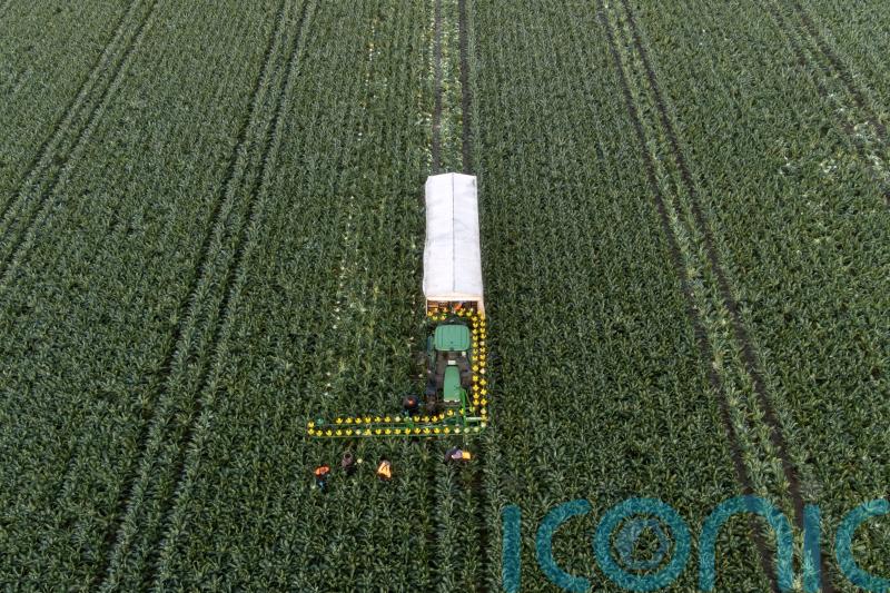 Investment needed for UK soils to boost food production, say farmers