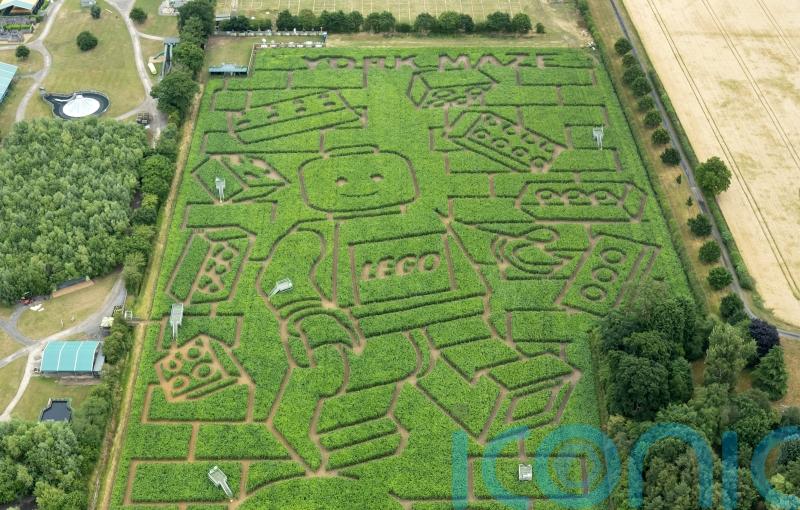 York’s 15-acre maze cut into ‘world’s largest’ Lego minifigure