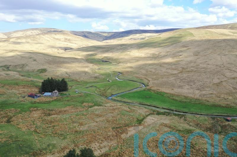 Community calls for donors to help with buyout of land for nature reserve