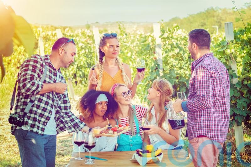 6 summer red wines to chill and sip in the sunshine