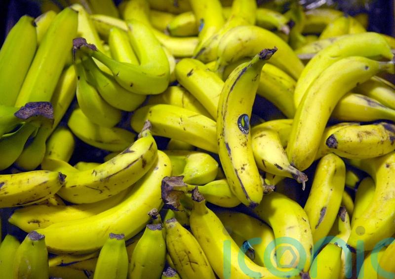 Bananas and salmon ‘help reduce negative effect of salt in women’s diets’- study
