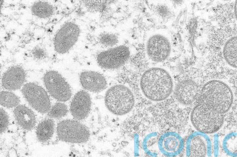 EU drug regulator recommends clearing vaccine for monkeypox