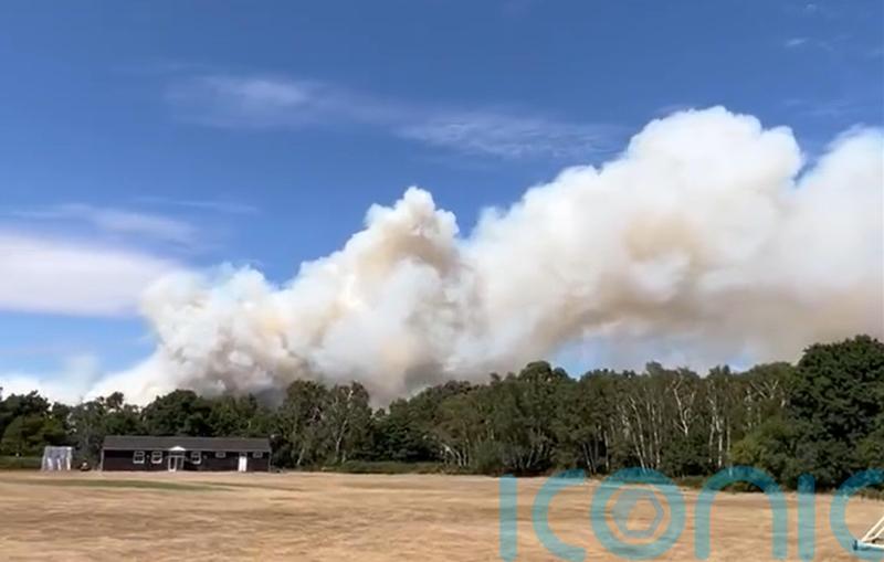 Major incident declared over large fire at Surrey’s Hankley Common