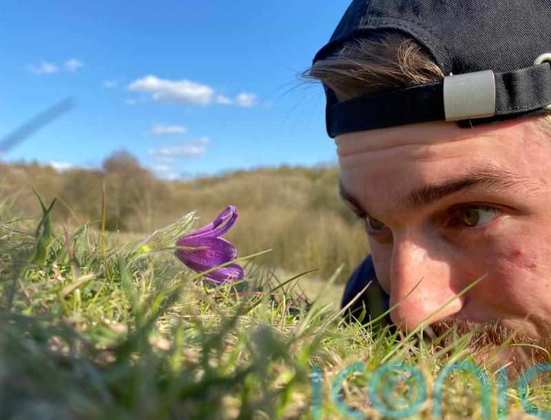 7 fantastic facts about plants – from the new face of botany