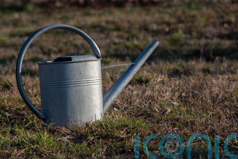 How to prepare your garden for the potential drought