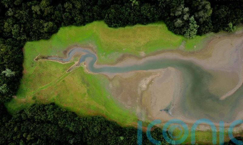 Drought: What is it and how can the effects be tackled?