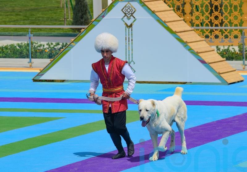 Turkmenistan restricts export of local Alabay dog breed