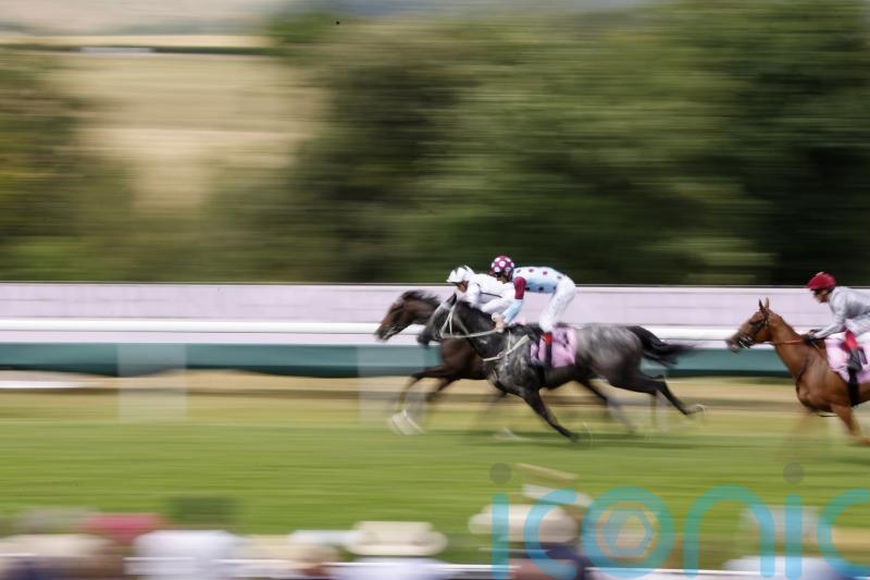 Oscula shows grit and class in equal measure to take Oak Tree prize