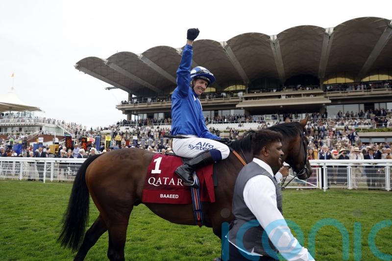 Brilliant Baaeed stays unbeaten with dominant Sussex display