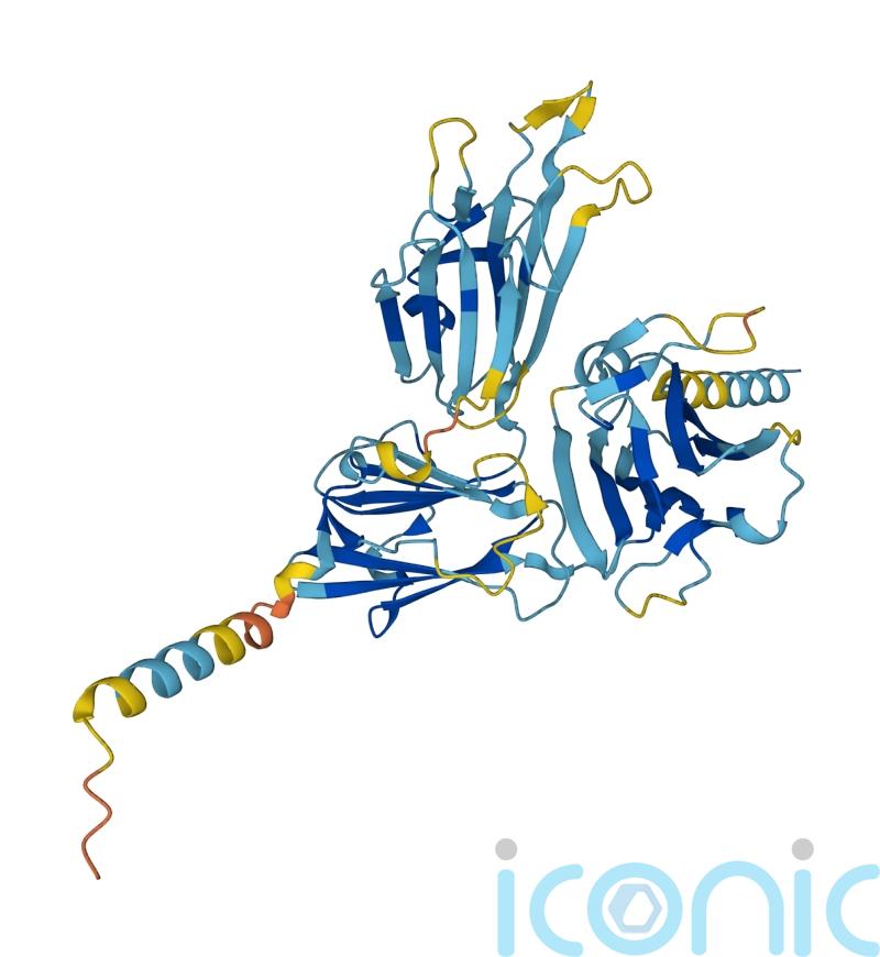 DeepMind research predicts structure of almost every known protein