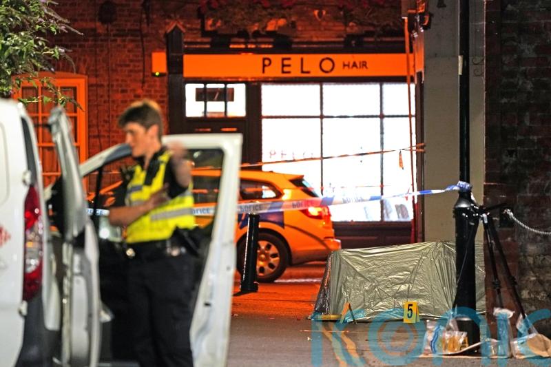 Murder investigation under way after girl, nine, dies from suspected stab wound