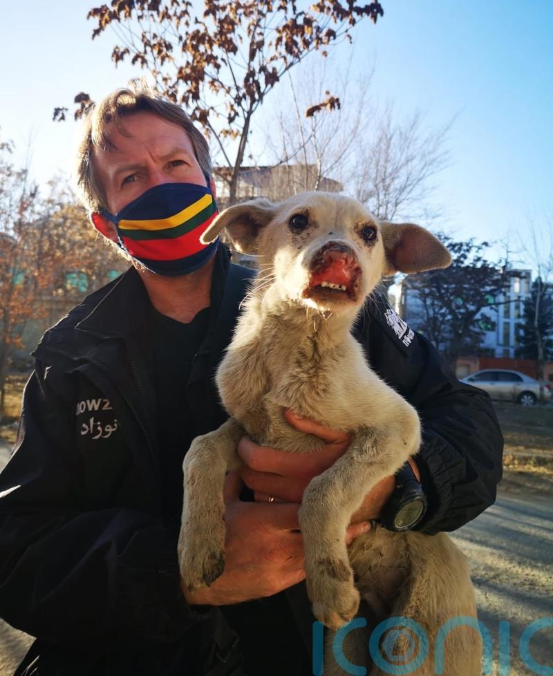Foreign Office ‘regrets’ confusion over Nowzad evacuation