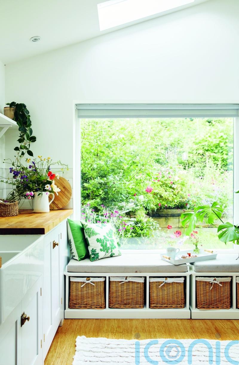 6 cheap and easy ways to rewild your home