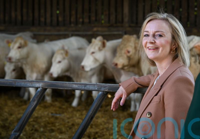 Liz Truss plan to cut public sector pay would ‘level down’ nation – Tory critics