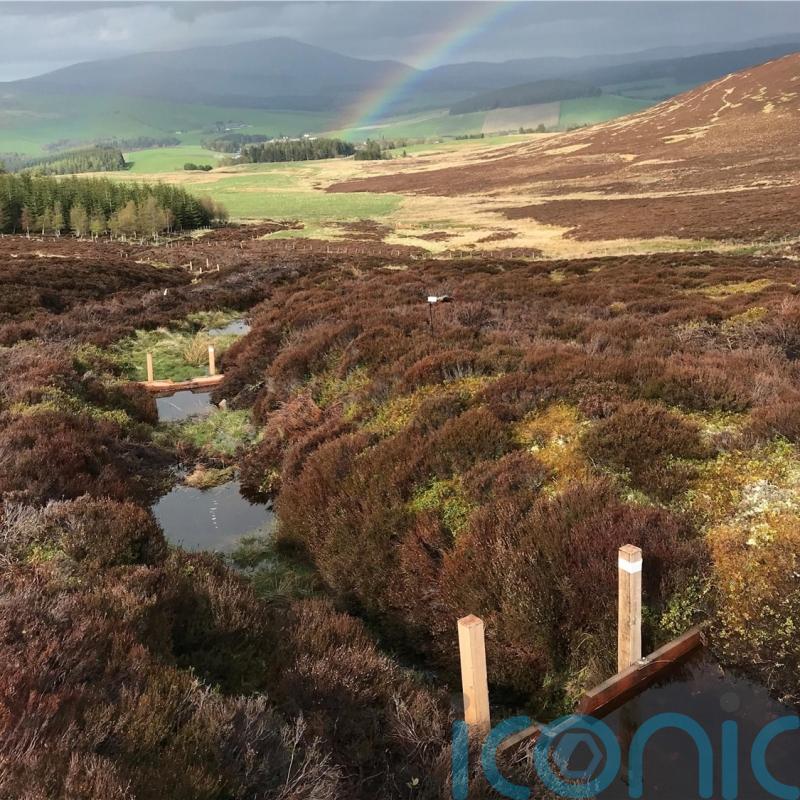 Small dams could keep distilleries producing whisky through dry spells