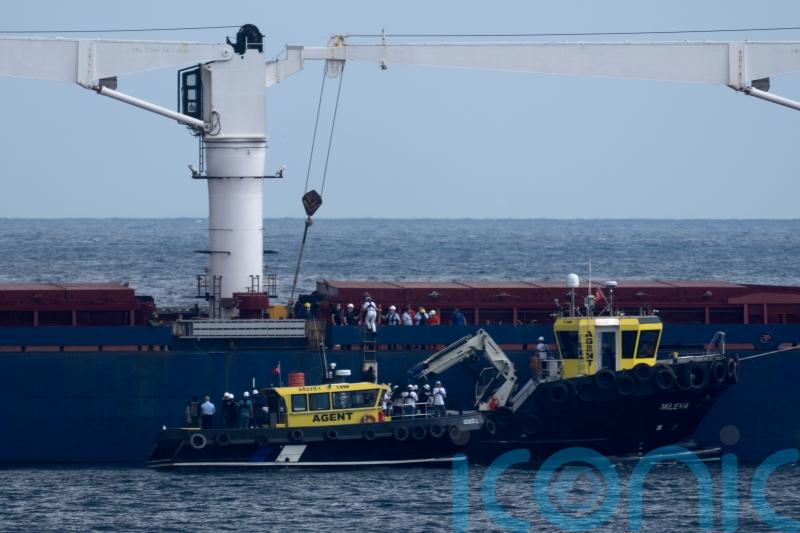 Cargo ship carrying Ukrainian grain checked by inspectors