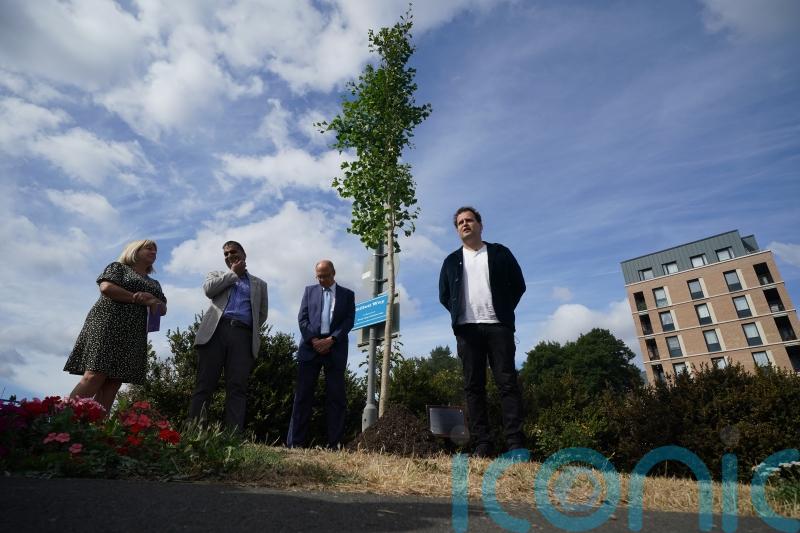 NHS suicides ‘brushed under carpet’, BBC show creator says as memorial unveiled