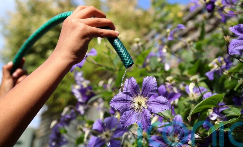 Hosepipe ban comes into force amid hot and dry conditions