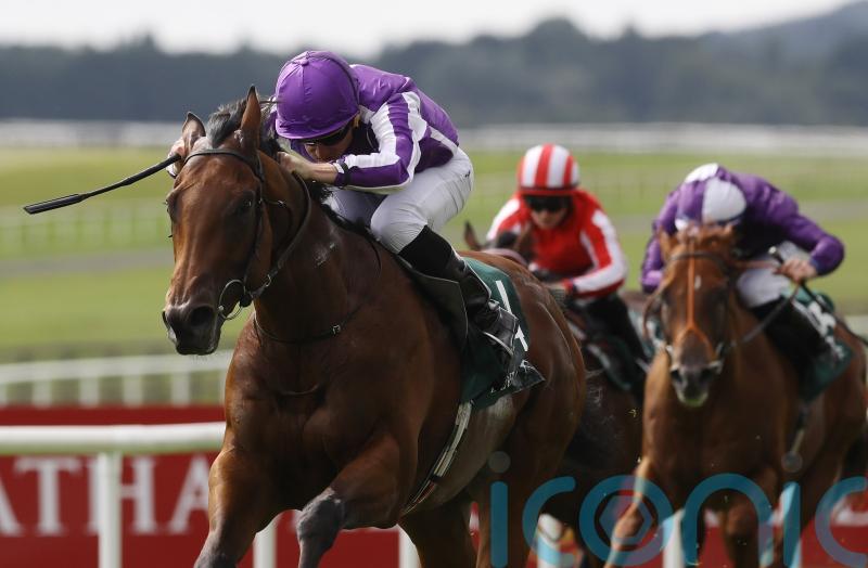 Little Big Bear simply sensational in Phoenix Stakes