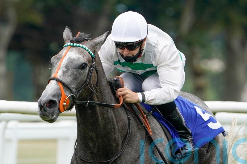 Alpinista to chase five-timer in Yorkshire Oaks
