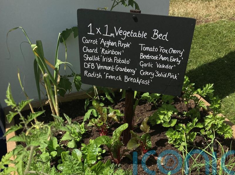 6 big ideas for small garden spaces
