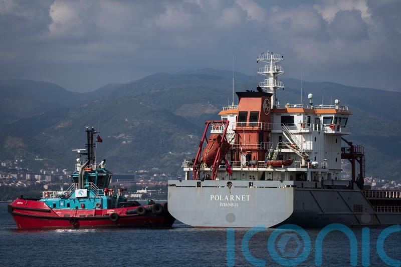 Ship carrying grain from Ukraine arrives in Istanbul