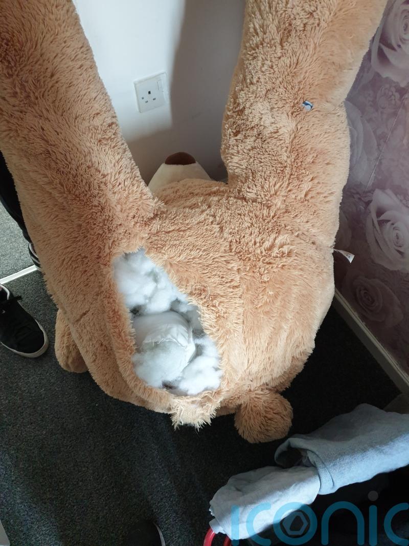 Car thief caught hiding inside giant teddy bear in Rochdale