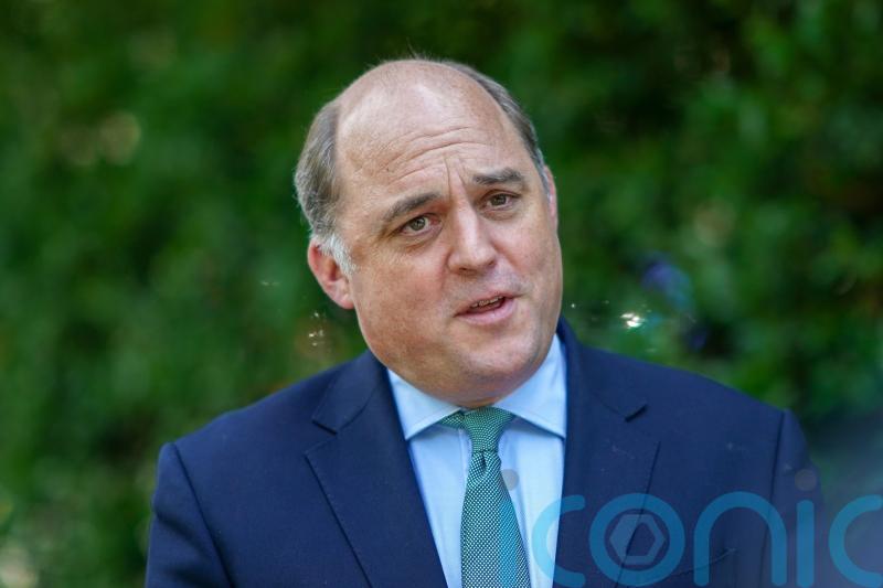 Wallace dismisses Russian ‘excuses’ for Crimean air base explosions