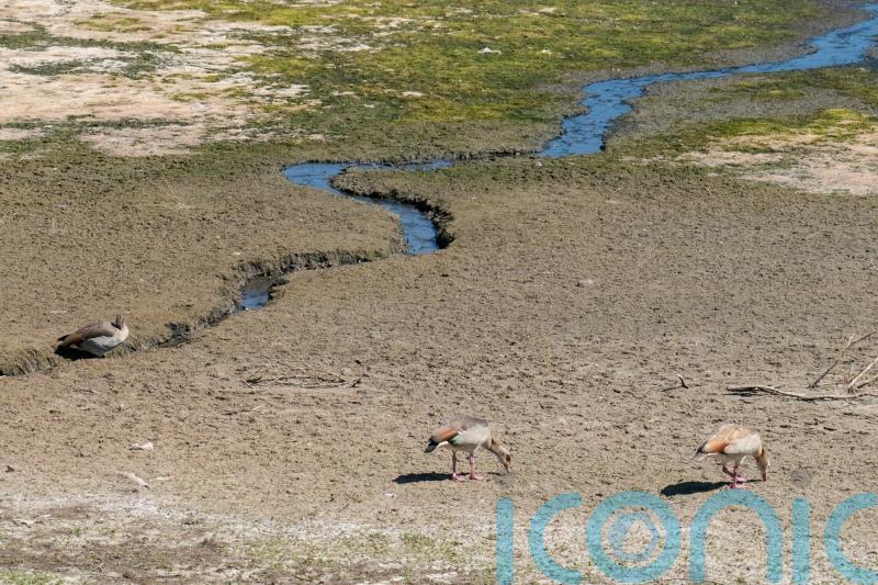 UK bakes in latest heatwave with drought looming for some areas