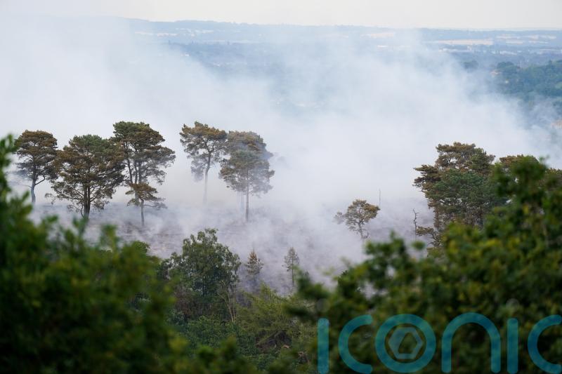 Tories &lsquo;have put the smoke alarm on snooze&rsquo; as Britain faces wildfire risk