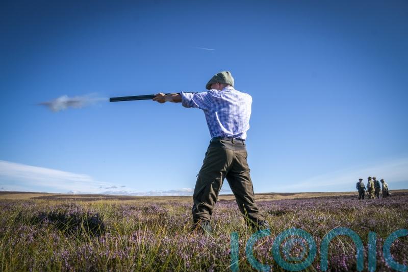 Scottish rural economy ‘back in business’ as grouse shooting season begins