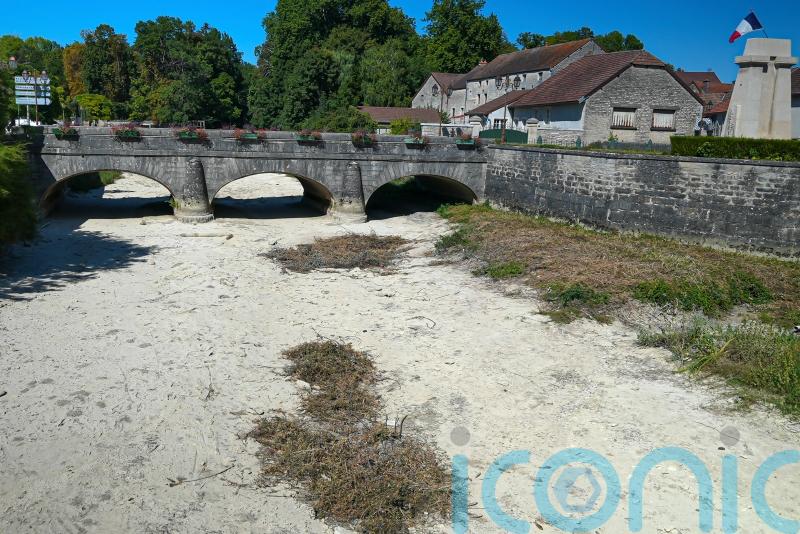 European drought dries up rivers and shrivels crops