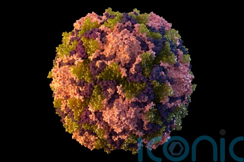 Polio detected in NYC&rsquo;s sewage, suggesting virus circulating