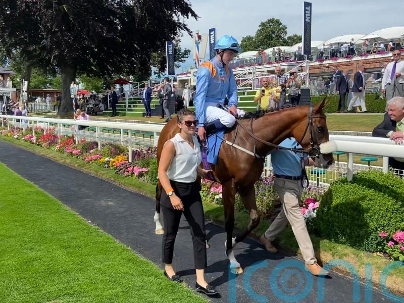 The Platinum Queen supplemented for Nunthorpe challenge