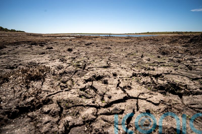 Cornwall faces hosepipe ban amid drought and heatwave