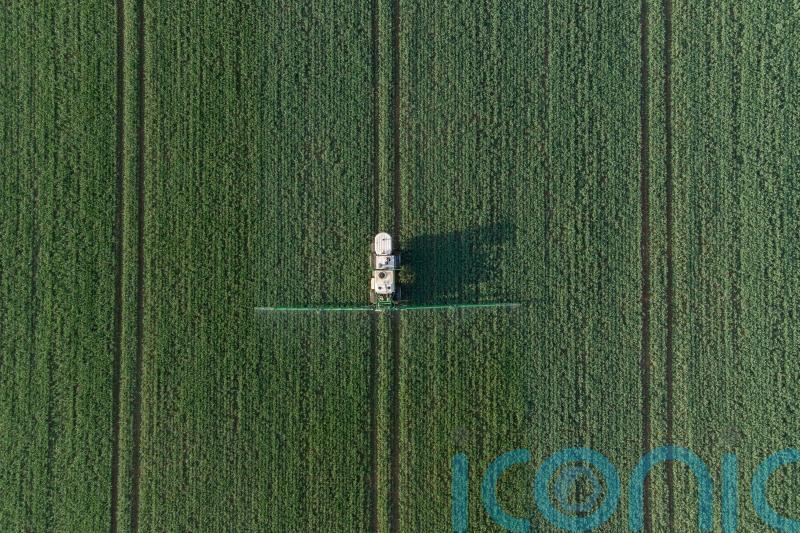 Ministers ‘worrying about votes’ while crops rot in fields – food industry