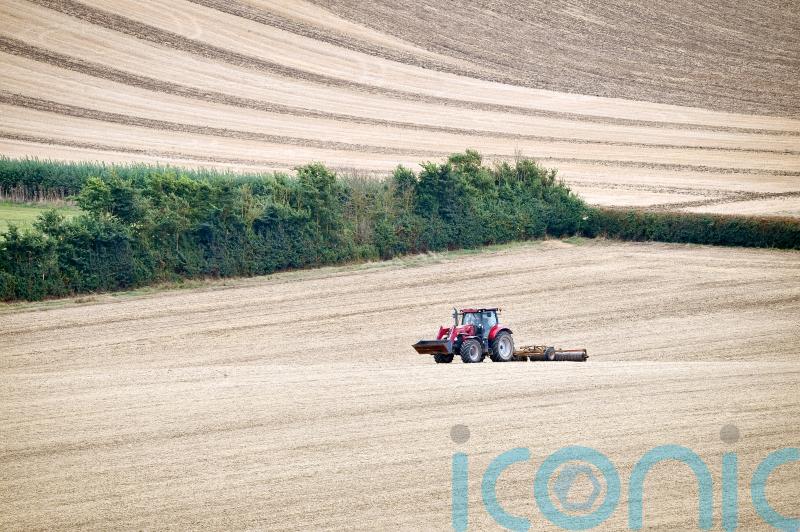 Pay farmers to restore habitat on least productive farmland, think tank says