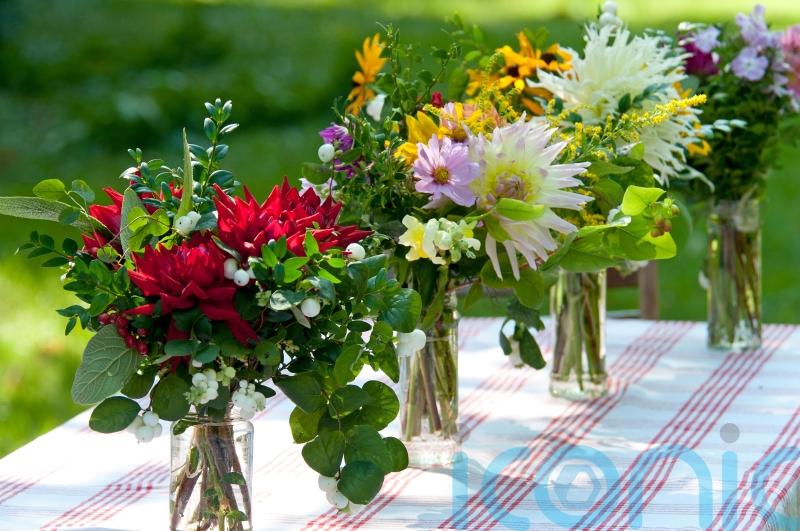 Grow the perfect late summer blooms to cut for your home