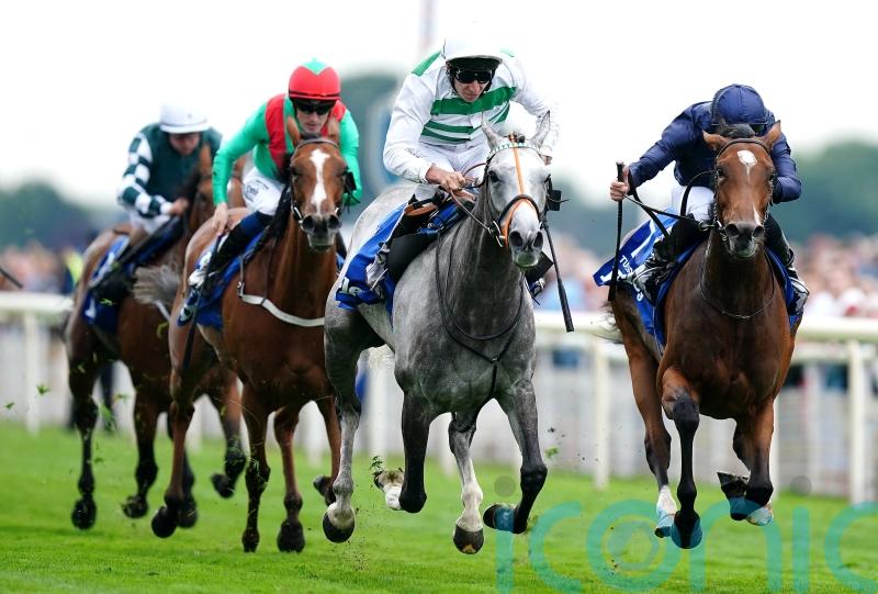 Prescott would like Haggas to ‘stick to his guns’ with Baaeed